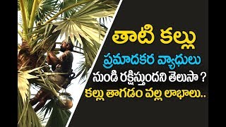 తాటి కల్లు తాగితే ఏమవుతుందో తెలుసా ? | Thati kallu benefits in telugu | Palm wine benefits | Liquor