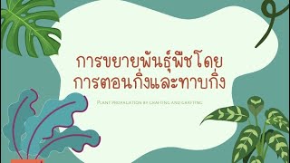 ม.3_วิชาการงานอาชีพ เรื่อง การขยายพันธุ์พืชโดยการตอนกิ่งและทาบกิ่ง