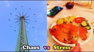 Scavenger Life Episode 328: Chaos vs Stress, There is a difference in life and business