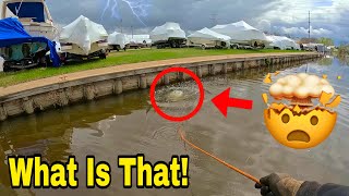 Ultimate Biggest JACKPOT Snagged While Magnet Fishing!!!