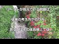 「雑念妄念の排除」中村天風哲人の教え生涯現役ずっと楽しむ会