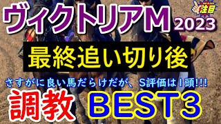 【ヴィクトリアマイル2023】調教BEST3　人気のスターズオンアース、ソダシ、ナミュールみんな良いが、特に良く見えたS評価の馬が1頭が・・・【調教診断】