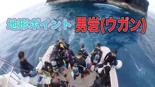 ケラマ諸島ドリフトダイビング男岩・ディーズパルス沖縄