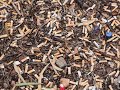 How Cigarette Butts Are Recycled Into Toys | World Wide Waste