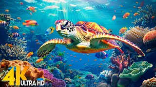 Ocean 4K - Sea Animals for Relaxation, Beautiful Coral Reef Fish in Aquarium(4K Video Ultra HD) #112