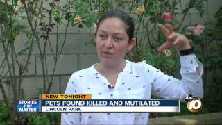 Pets found killed and mutilated
