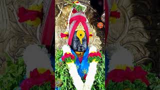 Shri Vitthal Rukmini live darshan Pandharpur || 17/11/2022