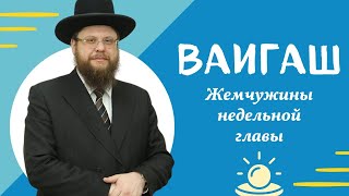 💎 Ваигаш 5783. Жемчужины недельной главы | Рав Хаим Дов Бриск