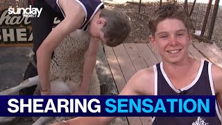 Teen Sheep Shearer Shearing 150 Sheep A Day