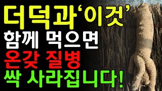 더덕과 함께 먹으면 보약보다 좋은 음식3가지! 더덕은 이렇게 먹어야 폐와 기관지가 살아납니다! 더덕의 효능 극대화시켜 먹는 방법! 꿀팁 레시피2가지!