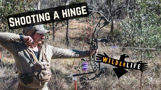 Shooting a hinge - archery - thoughts and PHILOSOPHY