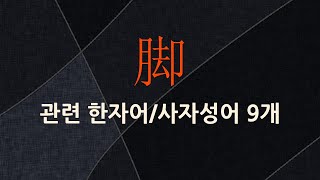 脚(다리 각)에 관한 한자어/사자성어 9개