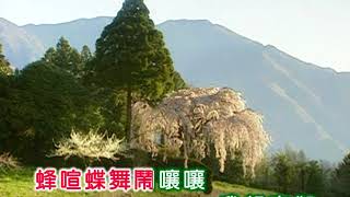 張小英 ~ 三個夢