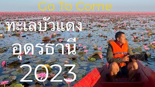 Go To Come - ทะเลบัวแดง กุมภวาปี อุดรธานี 2023 ท่าเรือบ้านโนนน้ำย้อย