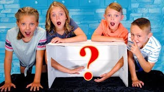 Girls VS Boys! What's in the Box Challenge! New Items! Twins!