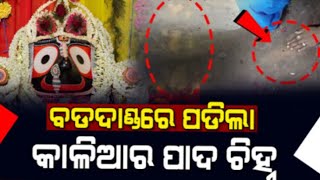 ବଡ ଖବର - ବଡ ଦାଣ୍ଡରେ ପଡିଲା କାଳିଆ ର ପାଦଚିହ୍ନ ॥ ଦେଖିଲେ ଆପଣ ଆଶ୍ଚଯ୍ୟ ହେବେ ॥ Puri Jagannath Latest News ॥