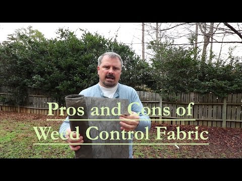The Pros and Cons of using Weed Control Fabric (Landscape Fabric) The Pros and Cons of using Weed Control Fabric (Landscape Fabric)