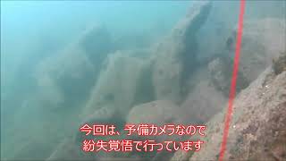 堤防からの水中撮影　メバルの釣れたポイントです　20200201