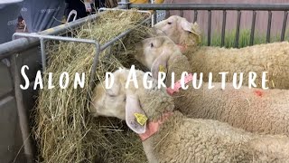 【週末パリ】Salon d'Agricultureで動物と触れ合う/Spend time with animals in Paris