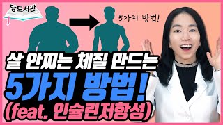 다이어트, 인슐린저항성이 중요하다? | 당뇨문의 : 1644-5178