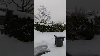 Abnormal winter in Vancouver, BC Dec 22, 2022