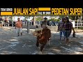 Wanita Satu Ini Tak Gengsi Jualan Sapi Di Pasar Kali Ini Bawa Pedet Simental Super !!