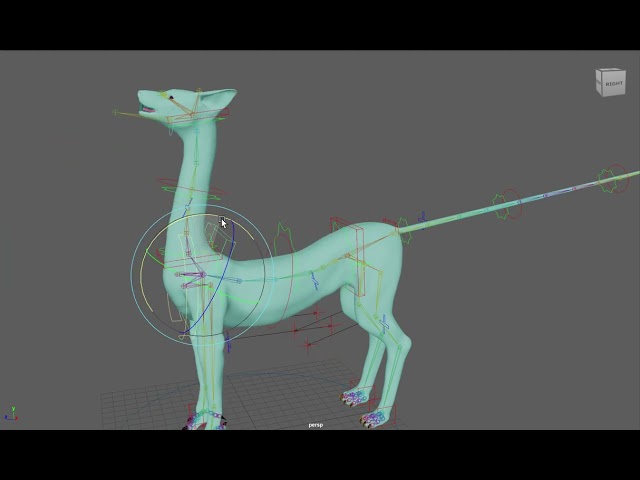 Cat Rig Demo