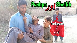 Pushpa aur Sheikh  | Enjoy Saraiki