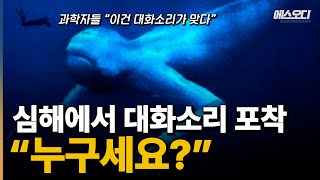 와씨 진짜 무섭네 ㄷㄷㄷ 심해에서 학계를 충격에 빠트린 대화소리 포착, 대체 뭐지??