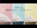 【青森米本部／ja全農あおもり】あおもり米3種cm