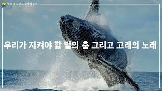 [2021 EBS 교육방송 연구대회] 벌의 춤 그리고 고래의 노래: 우리가 몰랐던 기후변화과학 이야기