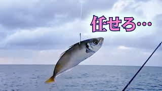 小アジはその責を果たせるか…極小サビキは玄人向けでした！泳がせ釣りはどうかしら…☆””