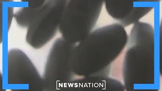 Pharmacies nationwide have trouble processing prescriptions due to cyberattack | NewsNation Live
