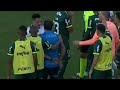 confusÃo entre abel ferreira e calleri sÃo paulo x palmeiras