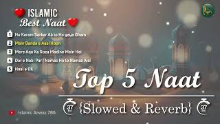Top 5 Naat [Slowed+Reverb] | Heart Touching & Relaxing Beautiful Naat Nonstop #lofinaat #bestnaat