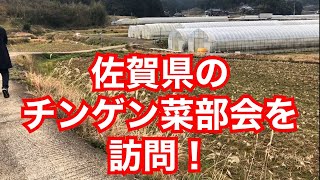 佐賀県チンゲン菜部会を訪問視察させて頂きました。