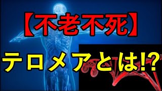 【不老不死】細胞の砂時計『テロメア』とは！？