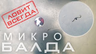 микро БАЛДА самая УЛОВИСТАЯ зимняя СНАСТЬ на окуня и плотву