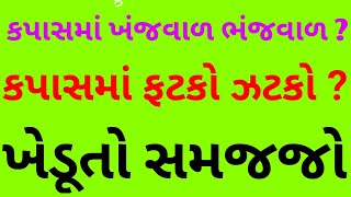 કપાસમાં ખંજવાળ અને ભંજવાળ ? ફટકો અને ઝટકો સમજી જાશો તો    ? Cotton. Agriculture. KAPAS NA BHAV. રૂ