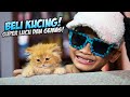 DRAMA BOCIL BELI KUCING SUPER LUCU DAN GEMAS!!! MEREKA LANGSUNG SALING NGAMBEKAN!!!