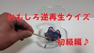 【逆再生動画クイズ】おもしろ気持ちいいまぜまぜ初級編