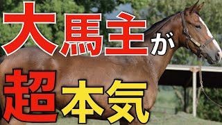 あの種牡馬に大物馬主が超本気！命運を握る存在となりそう。