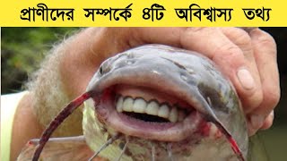 প্রাণীদের সম্পর্কে ৪টি অবিশ্বাস্য তথ্য।4 Amazing Facts about Animals।bangla fact news। বাংলা ফ্যাক্ট