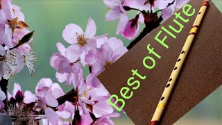 relaxing flute music | Indian flute music | native american flute music. |bamboo flute | meditation