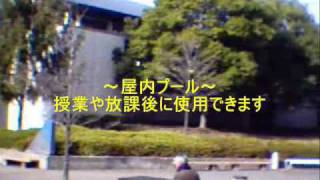 東海大学の紹介