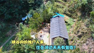 一户人家独居深山峡谷，旁边还有一条河流，很难被发现的隐秘之地【乡村阿泰】