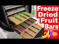 Freeze Dried Fruit Bars -- Banana, Strawberry, Blueberry, Peach