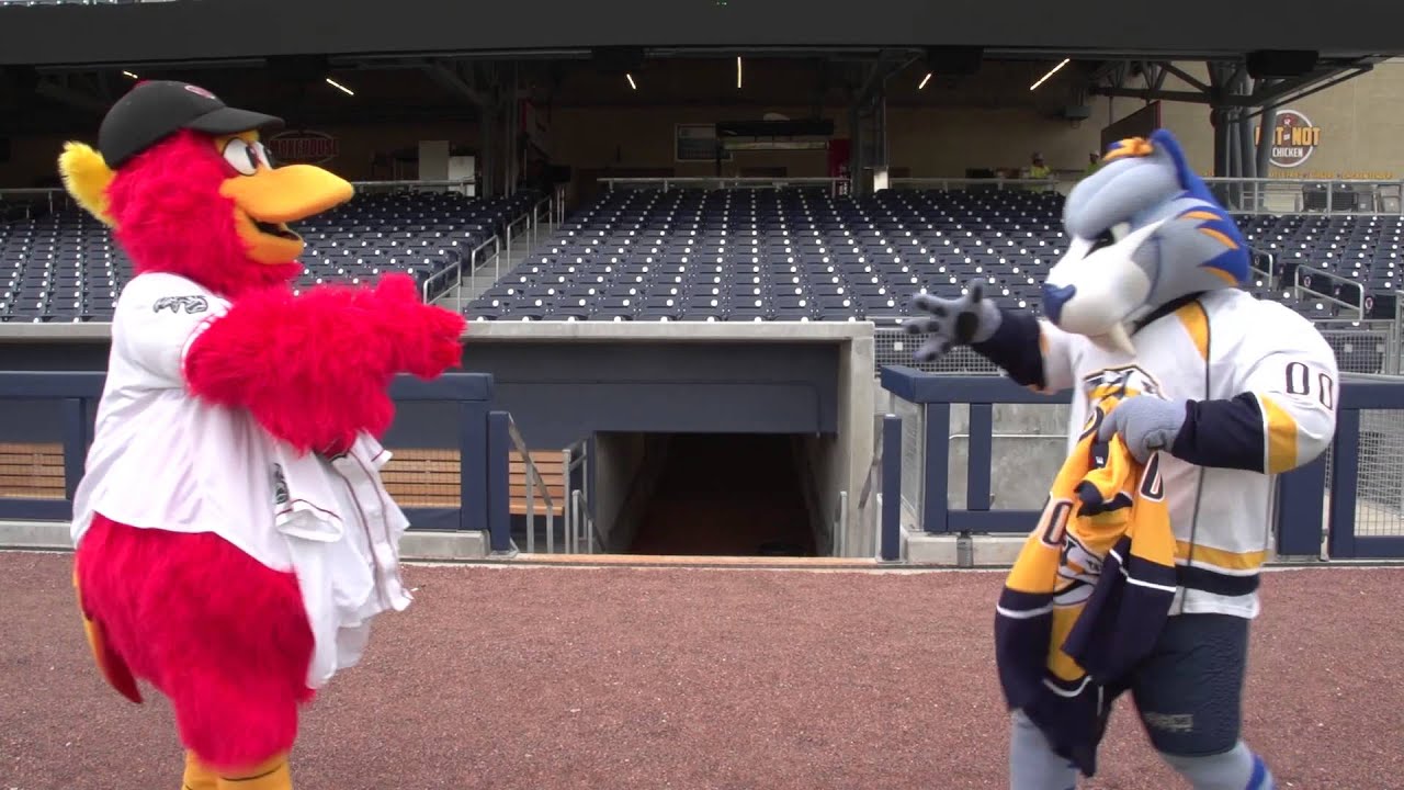 Nashville Sounds Booster Meets Nashville Predators Gnash - YouTube