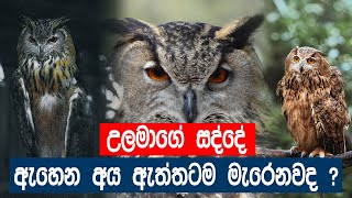 ගම්මාන බිය වද්දමින් \