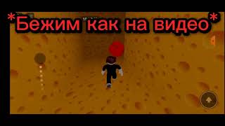 где зелёный ключ в игре Cheese Escape